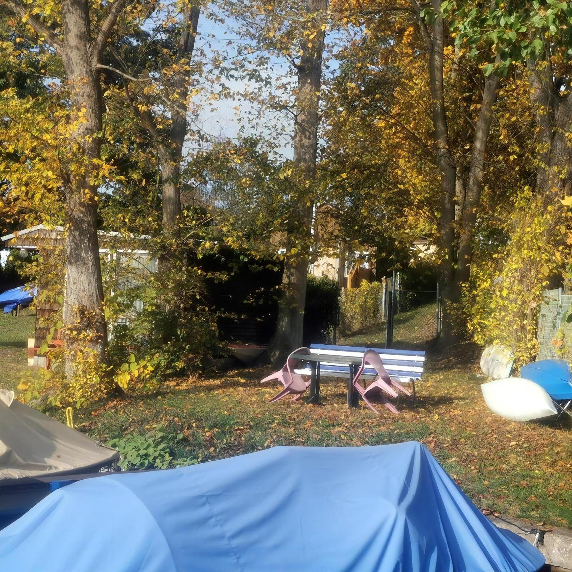 ברלין Ferienhaus In Mueggelheim Mit Eigener Terrasse מראה חיצוני תמונה